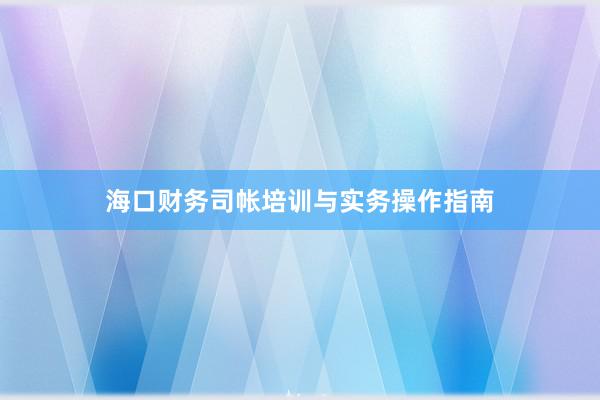 海口财务司帐培训与实务操作指南
